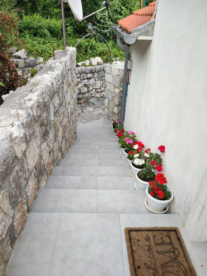 Rosic פראסט